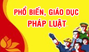 Kết quả phổ biến, giáo dục pháp luật năm 2020 tại Ủy ban Mặt trận tổ quốc Việt Nam tỉnh